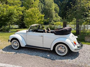 VOLKSWAGEN MAGGIOLINO CABRIO VETRO PIATTO