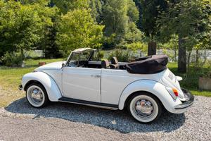 VOLKSWAGEN MAGGIOLINO CABRIO VETRO PIATTO
