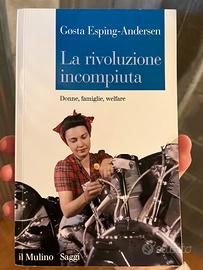 La rivoluzione incompiuta