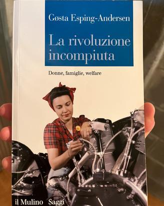 La rivoluzione incompiuta