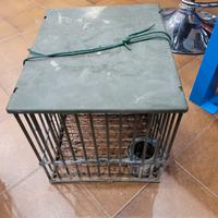 gabbie per uccelli richiamo