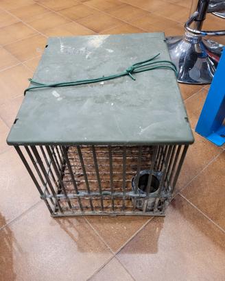 gabbie per uccelli richiamo