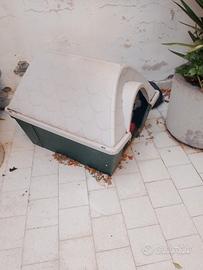 cuccia cane