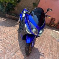 Tmax 500