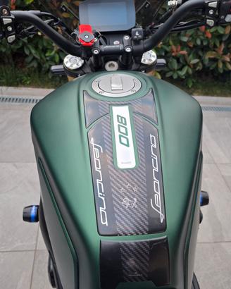 benelli leoncino 800
