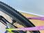 Immagine 12