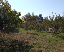 Terreno Milo,Giarre