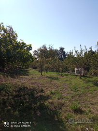 Terreno Milo,Giarre