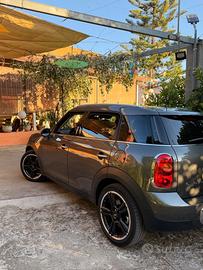 Countryman one D