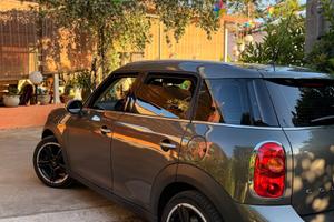 Countryman one D