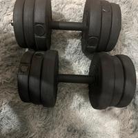 pesi da 10kg