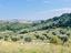 Immagine 15