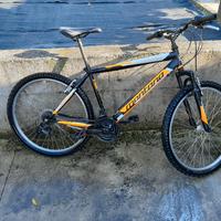 bici da ragazzo/a