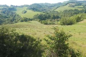 RGE 7/2021 - Tribunale di Urbino - Lotto 3