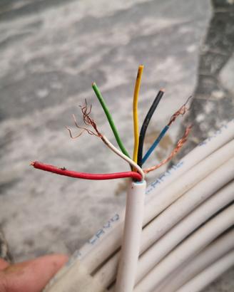 Cavi allarme telecamere telefonia rete