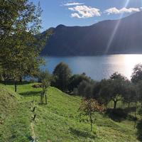 Terreno agricolo e Uliveto