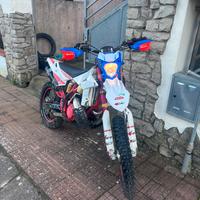 Beta rr300 2018