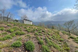 Terreno di 11000 m² a Caravonica