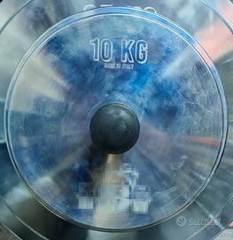 2 dischi olimpionici in acciaio calibrati da 10kg 