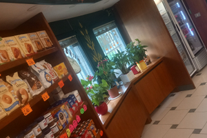 Attività rivendita di pane e alimentari e PIZZERIA