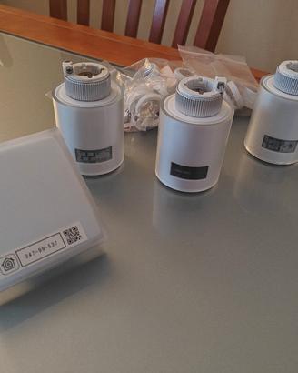 Relè Netatmo e una valvola più altre due  valvole