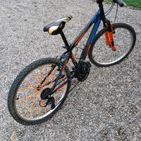 Bicicletta tg 24 