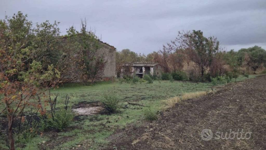 Immobile in asta di 42251 m² a Lucera - Vista 2