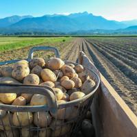 Terreno agricolo in Alta Val Venosta