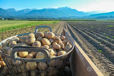 Terreno agricolo in Alta Val Venosta