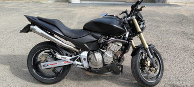 Honda Hornet 600