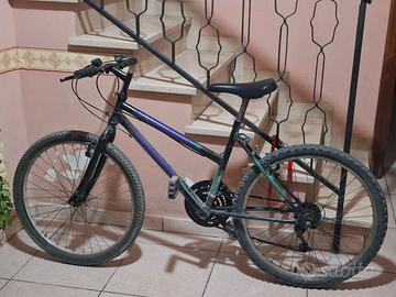 Bicicletta 24