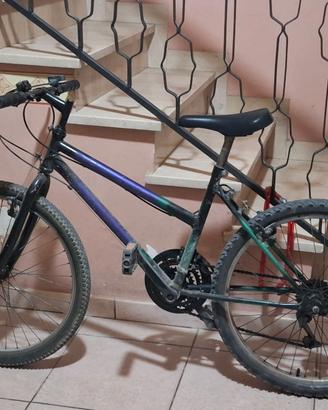 Bicicletta 24
