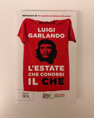 "L'estate che conobbi il Che" di Luigi Garlando