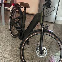 Bicicletta elletrica