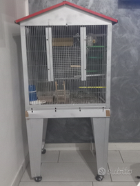 Calopsite con gabbia