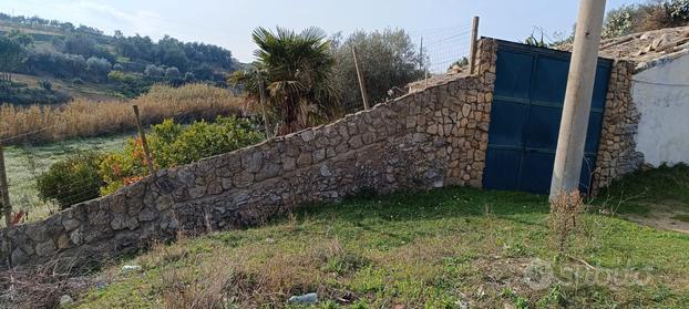 Terreno con mandorleto, frutteto e casa rustica