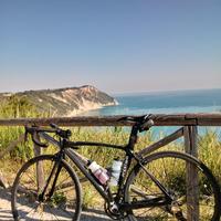 bici corsa prestigio 