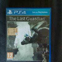 the last Guardian 