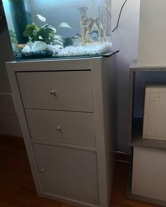 Acquario 30L+mobile+ DUE PESCI ROSSI