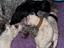 Immagine 6