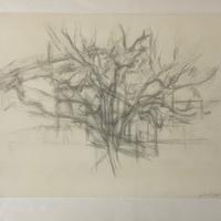 Alberto Giacometti 1963