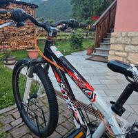 Bicicletta ragazzo Scott