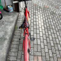 Bicicletta mountain-bike junior