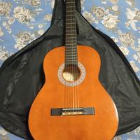 Chitarra eko cs10