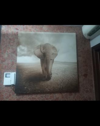 quadro etnico