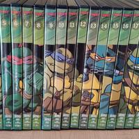 Collezione DVD tartarughe ninja