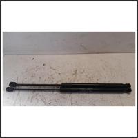 Ammortizzatori portellone post. dx EVO EVO3