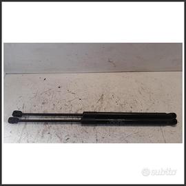 Ammortizzatori portellone post. dx EVO EVO3