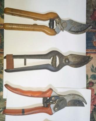 5 forbici da potatura usate