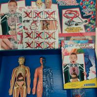 GIOCO EDUCATIVO JUNIOR  CLEMENTONI “ CORPO UMANO”